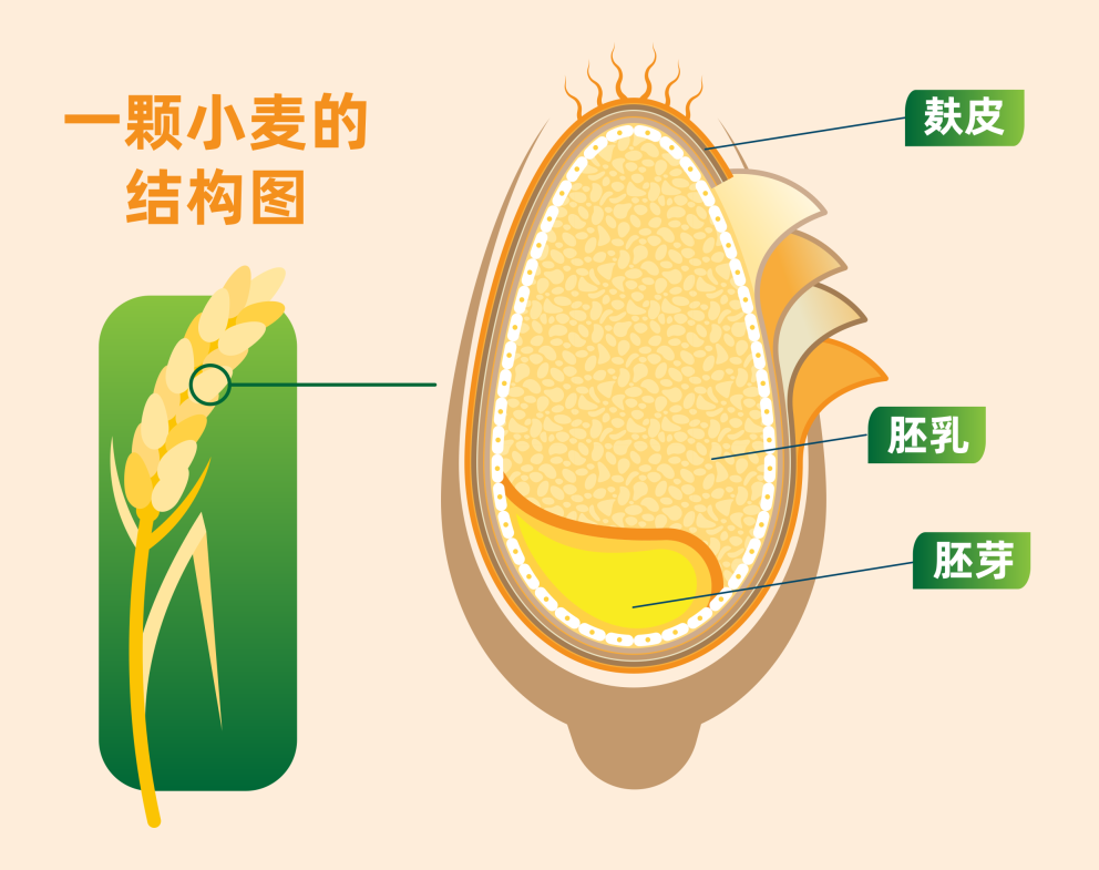 ¾ÅÖÝ¿áÓÎ(¿áÓΡ¤kuÓÎ)¹Ù·½ÍøÕ¾