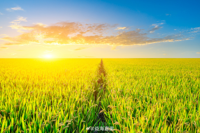 ¾ÅÖÝ¿áÓÎ(¿áÓΡ¤kuÓÎ)¹Ù·½ÍøÕ¾